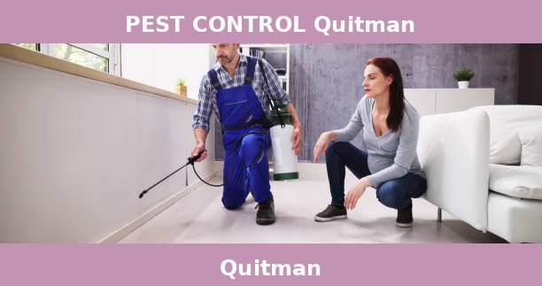 PEST CONTROL Quitman